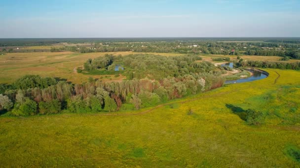 Vista aérea de uma bela paisagem: árvores de campo floresta rio céu azul natureza — Vídeo de Stock