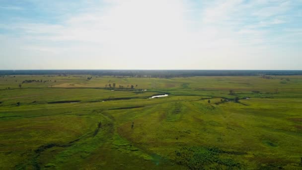 Flygfoto över ett vackert landskap: gröna fält träd sol natur — Stockvideo
