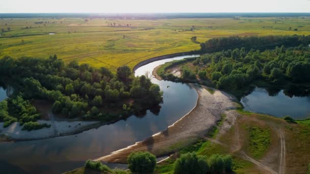 Vista aérea de un hermoso paisaje: árboles de río bosque campo naturaleza — Vídeos de Stock