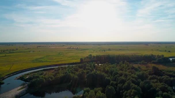 Αεροφωτογραφία ενός όμορφου τοπίου: ηλιόλουστα δέντρα δασικό πεδίο ποταμός ουρανό φύση — Αρχείο Βίντεο