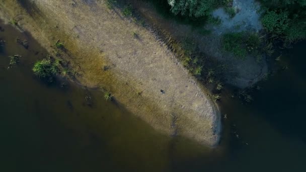 Letecký pohled na kožený vak na pláži u řeky, zelené pole, stromy — Stock video
