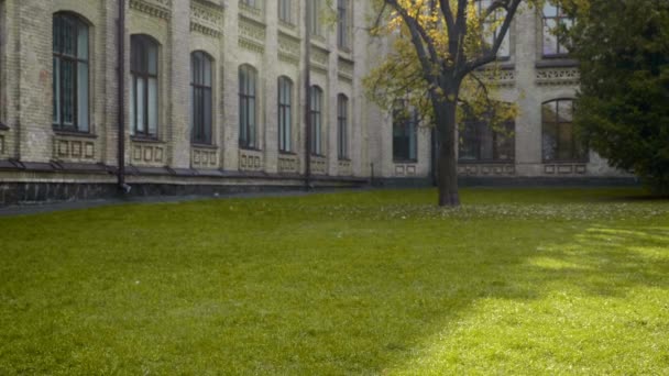 Προβολή πράσινου χόρτου, δέντρο φθινόπωρο με κίτρινα φύλλα κοντά στο ιστορικό κτίριο — Αρχείο Βίντεο