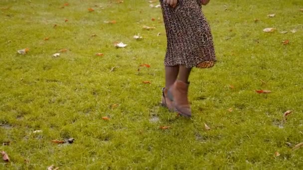 ヒョウ柄のスカートと茶色の靴が公園の芝生に沿って歩く — ストック動画
