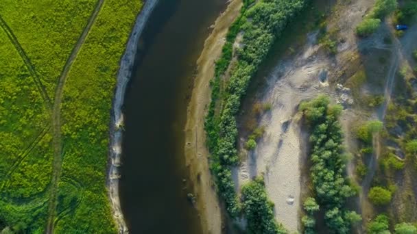 Górny widok z lotu ptaka rzeki zielone pole plaża drzewa natura — Wideo stockowe