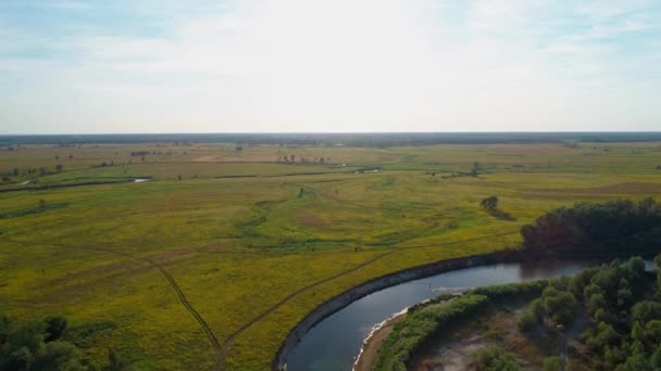 Вид с воздуха красивый пейзаж: полевые речные деревья лесная природа — стоковое видео
