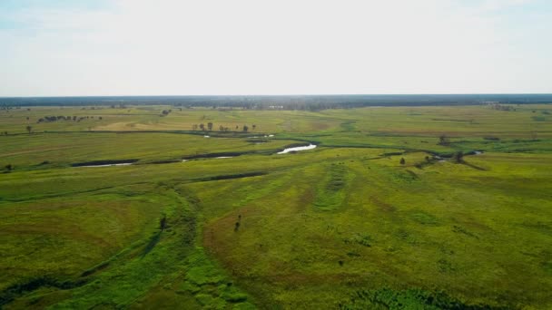 Uitzicht vanuit de lucht prachtig landschap: groen veld rivier zon bomen natuur — Stockvideo