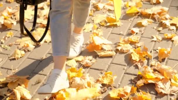 Sárga köpenyes nő sétál a lombok között az őszi parkban. Lassú mozgás. — Stock videók