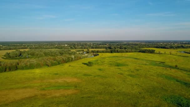 Vue aérienne beau paysage : vert champs arbres forêt bleu ciel rivière nature — Video