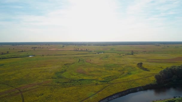 Vista aérea de un hermoso paisaje: campo árboles de río naturaleza — Vídeo de stock