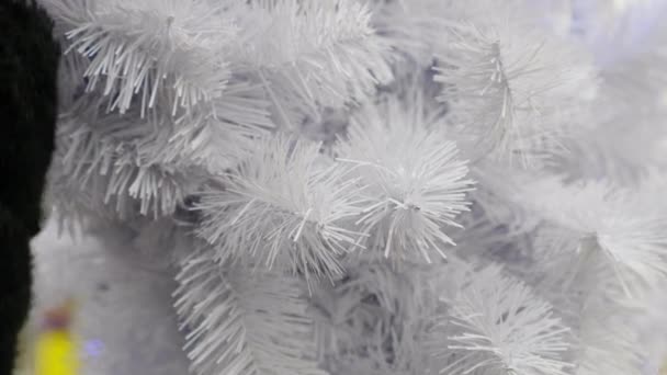 Close-up vrouw houdt hand in hand wanten op witte kerstboom buiten in de winter — Stockvideo