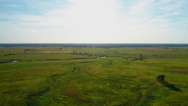 Flygfoto över ett vackert landskap: grönt fält sol träd natur — Stockvideo