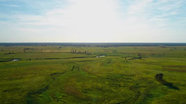 Veduta aerea di un bellissimo paesaggio: campo verde alberi da sole natura — Video Stock