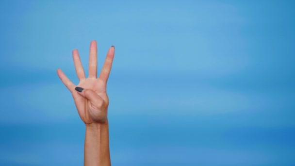 Kvinnlig hand visar fem, fyra, tre, två, ett, noll fingrar, handflatan. Långsamma rörelser — Stockvideo