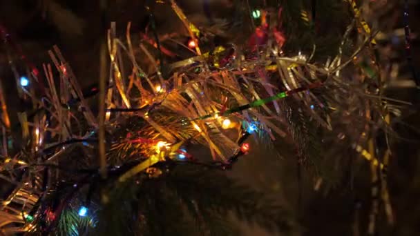 Hermosa guirnalda de Navidad centelleante en el árbol de Año Nuevo — Vídeos de Stock