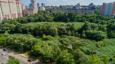 Drone aerial view marshy lake in the metropolis, summer nature in sunny day, green trees