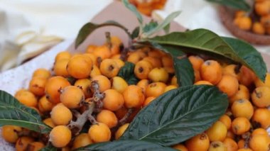 Yenidünya yaprak ve meyve. Eriobotrya japonica, Çin Erik, Japon eriği, Japon muşmulası, Pipa, Nispero ve Malta eriği