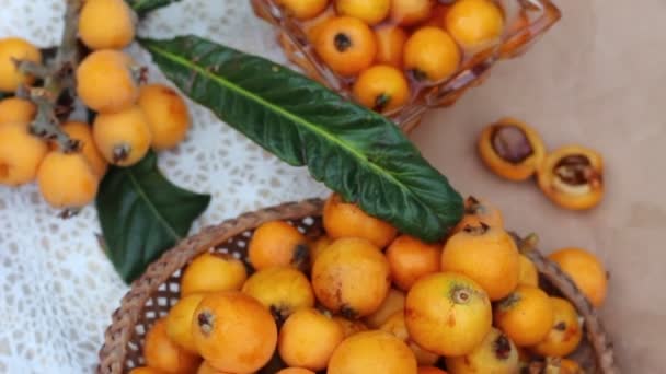 Nieśplik Japoński Chińska Śliwka Śliwa Japońska Jakość Loquat Owoce Jam — Wideo stockowe