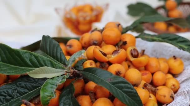 Hojas Níspero Frutas Eriobotrya Japonica Ciruela China Ciruela Japonesa Níspero — Vídeo de stock