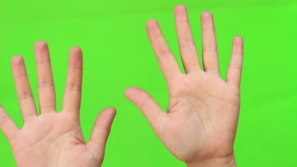 Ręce Górę Zbliżenie Taniec Ruchy Fala Gest Ręki Białym Tle — Wideo stockowe