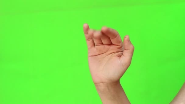 さよなら 手ジェスチャーの手を振っています 分離されました クロマキー緑色の画面 — ストック動画