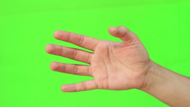 演奏岩紙はさみ 手のクローズ アップ 手ジェスチャー 分離されました クロマキー緑色の画面 — ストック動画