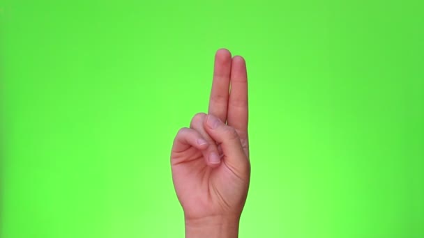 Hand Benediction Papal Blessing Hand Gesture Chromakey Green Screen Isolated — Stock Video