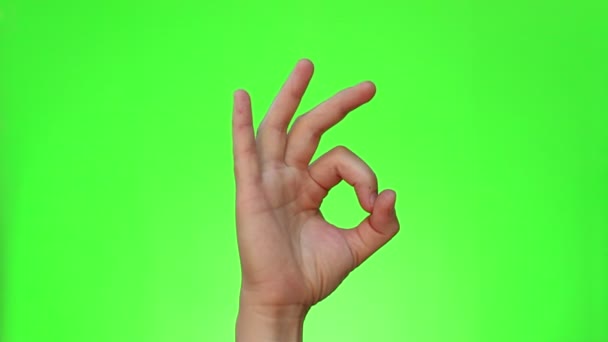 をジェスチャー つの手ジェスチャー クロマキー 緑色の画面 分離されました — ストック動画