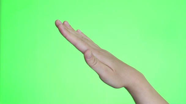 Nazi Salute Hitler Salute Hand Close Chroma Key Background Green — Stock Video