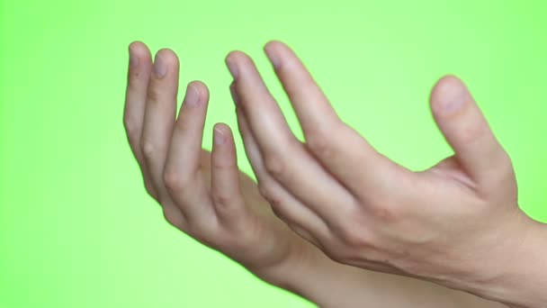 Hands Praying Muslim Close Chroma Key Background Green Screen Isolated — Stock Video
