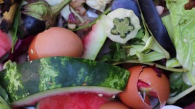 Compostable gıda artıkları. Organik biyolojik mutfak atıkları, çürük yiyecek ve pişirme, yemek artıkları kompost için hazır. Peel yumurta kabukları, kabak, muz ve havuç