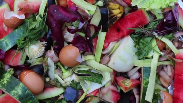 Овощные Кухонные Отходы Такие Кожура Шкуры Стебли Органические Отходы Вермикомпостирования — стоковое видео