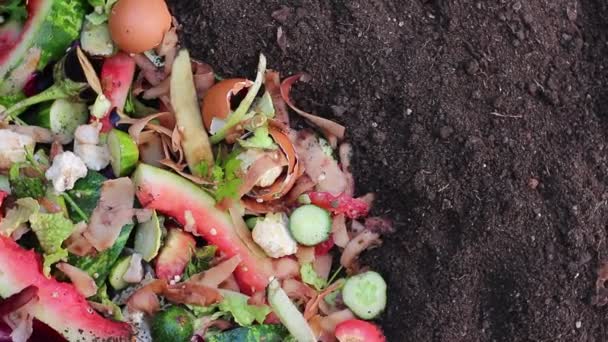 Kompostzutaten Reiche Schwarze Erde Schaffen Lebensmittelreste Obst Gemüse Peelings Brot — Stockvideo