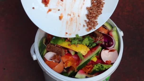 Recipiente Composto Para Cozinha Sobras Sucatas Desperdício Zero Compostagem Reciclagem — Vídeo de Stock