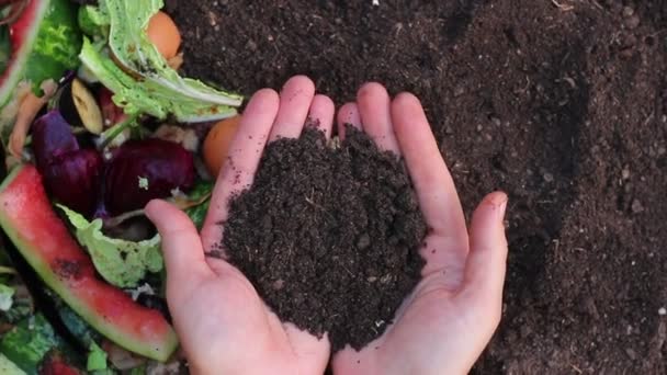 Recycles Kitchen Yard Waste Soil Hands Gardener Optimal Compost Ingredients — Stock Video