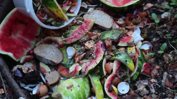 Compostador Del Patio Trasero Residuos Verduras Frutas Reciclaje Residuos Cocina — Vídeo de stock