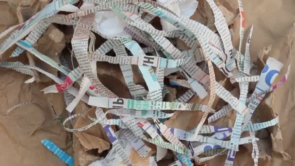 Shredded Paper for Compost or Mulch in Garden. Newspaper, cardboard, egg cartons — Stock Footage Shredded Paper Compost Mulch Garden Newspaper Cardboard Egg Cartons Royalty Free Stock Video
