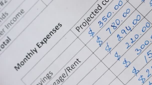 Household Budget Worksheet Family Expenses Includes Amount Paid Lodging Food — Stock Video