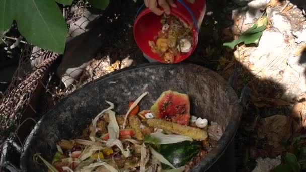 Kompostbehållaren Bakgård Kompostering Noll Avfall Vägra Minska Återanvända Återvinna Ruttna — Stockvideo
