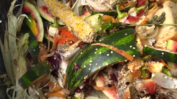 Kompostierung Komposthaufen Biomüll Haushalt Essensreste Und Gartenabfälle Verringerung Von Nahrungsmittelverlust — Stockvideo