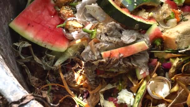 堆肥堆 家用有机垃圾 减少浪费 堆肥堆在后院分解和东西 如食物剩菜 咖啡地面 烘焙食品 — 图库视频影像