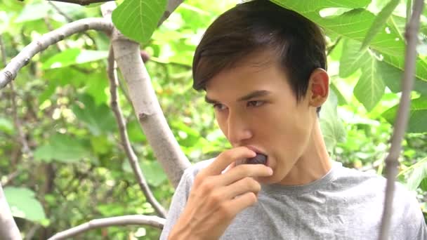 Junger Schöner Mann Isst Frische Reife Feigenfrüchte — Stockvideo