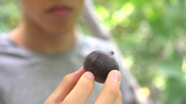 新鲜成熟的无花果在手中 菲库斯卡里卡 紫罗兰花 紫黑色水果 — 图库视频影像