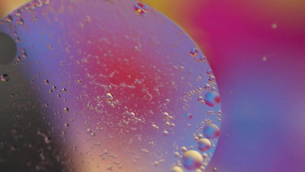 Macro Goccia Olio Acqua Bolle Liquide Olografiche Multicolore Gialle Rosse — Video Stock