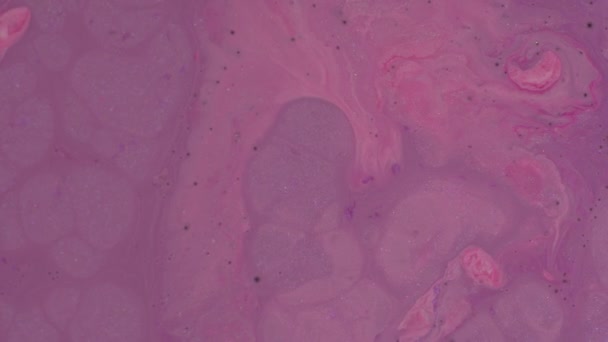 Producto Maquillaje Tonos Violeta Rosa Rosa Lila Colores Lavanda Mezcla — Vídeos de Stock