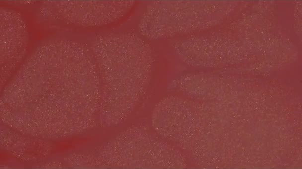 Bourgogne et fond de couleur or. Peinture liquide scintillante qui coule. Motion encre colorée mélangée 