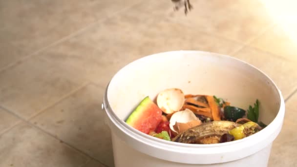 扔掉食物食物浪费或食物损失是被丢弃或失去未食用的食物 堆肥有机废物 — 图库视频影像