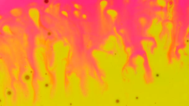 ホットプラスチックピンクと鮮やかな黄色の色の塗料の混合物 ぼやけた抽象的な背景 — ストック動画