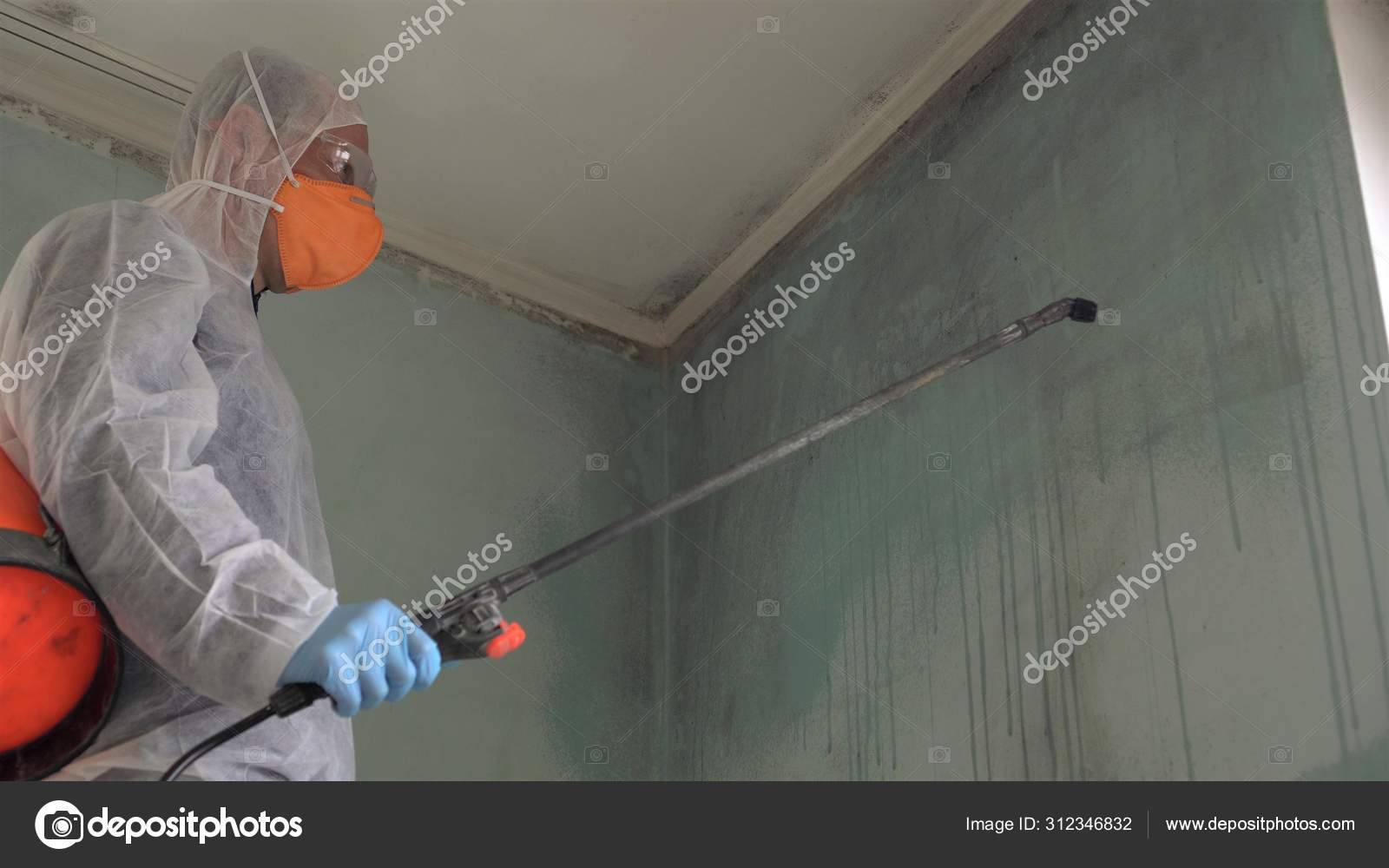 Removing Mold Professional Disinfector Cleans Sprays Area Antimicrobial