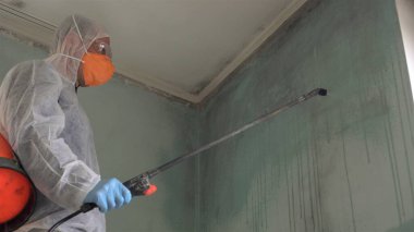 Removing mold.A professional disinfector cleans and sprays the area with an antimicrobial treatment to prevent mold from coming back in house clipart