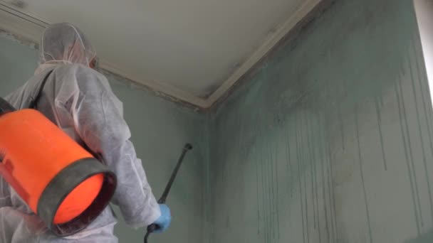 Menghapus Pembersihan Disinfektor Profesional Mold Dan Semprotan Daerah Dengan Pengobatan — Stok Video